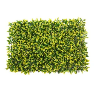 Folhas Verdes Amarelas Planta Hedge Topiária Paredes Vegetais